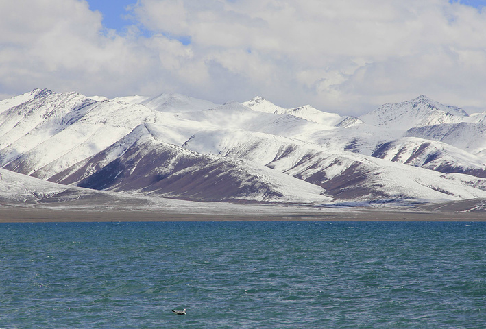 2015我曾经看到过很多赞美纳木措的诗歌_纳木