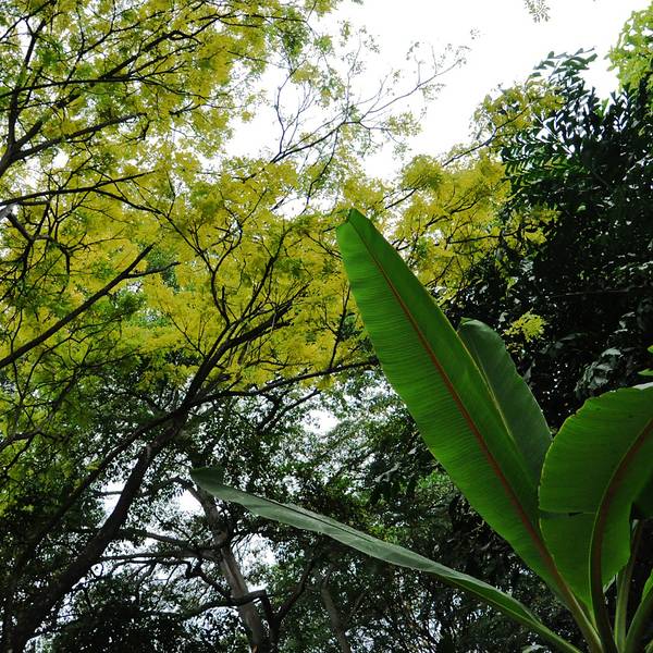 地址_v地址公园_门票_美食_攻略点评,新加坡旅重庆火锅长老老厂游记图片