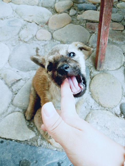 山水诗情,武夷山的悠然二日游_南平旅游攻略