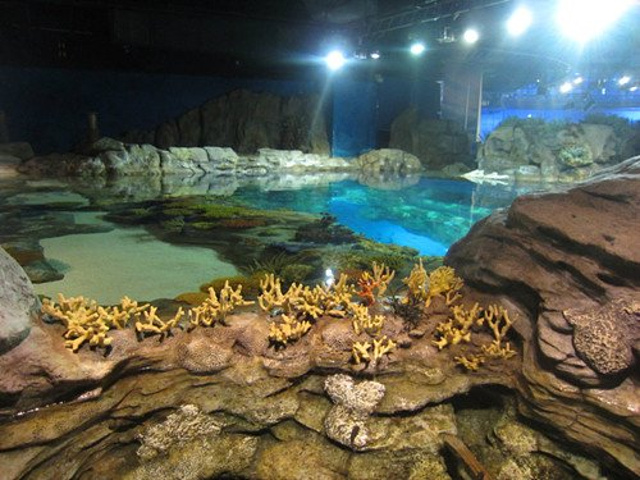 20158.18 10:00 从罗湖口岸抵达黄大._香港海洋