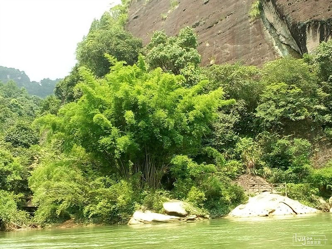 山水诗情,武夷山的悠然二日游_南平旅游攻略