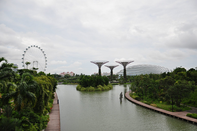 南有乔木,不可思休。_新加坡旅游攻略