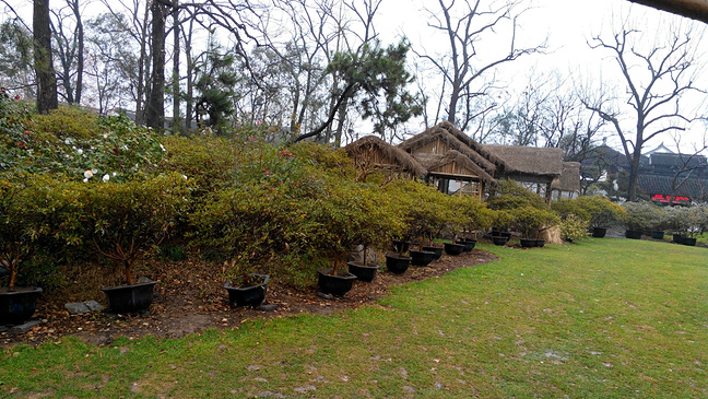 苏州2日游_苏州旅游攻略