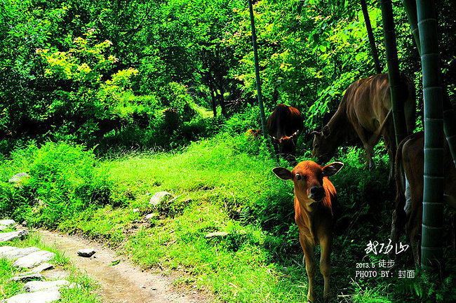 武功山徒步之旅_萍乡旅游攻略