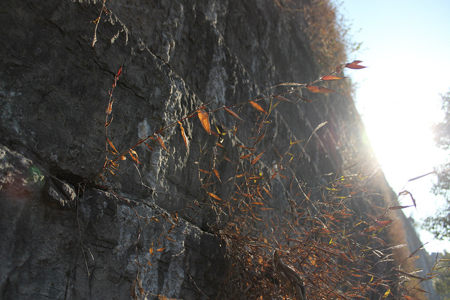 上海至南京二日周末游_南京旅游攻略_自助游