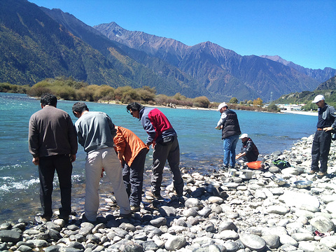 2015八一镇_旅游攻略_门票_地址_游记点评,林