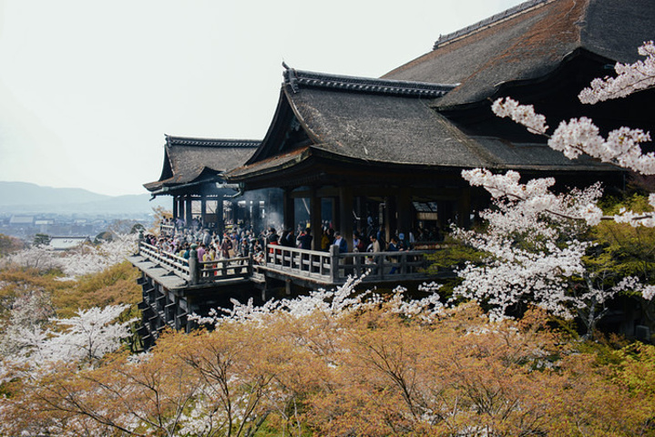 在京都的寺庙之中,还有一个地方一定要去,因为景色比金阁寺和银阁寺