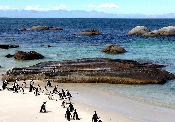 南非8大最纯净原始的海滩,还有赏鲸船巡游让人