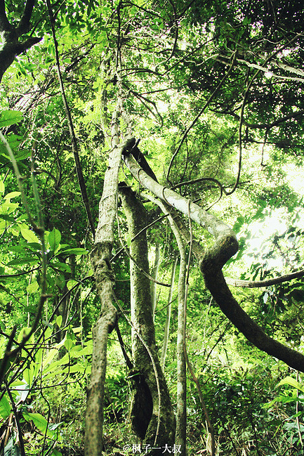 清新永泰,千年嵩口古镇!_福州旅游攻略