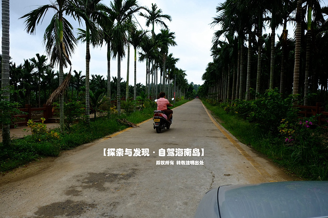 单车自驾:环游海南岛_三亚旅游攻略