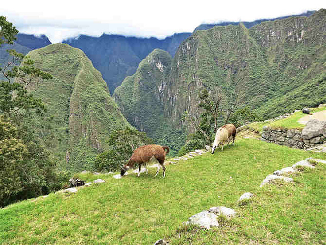 2015马丘比丘建在两座山之间的山脊上_马丘比丘遗址评论 - 去哪儿攻略社区