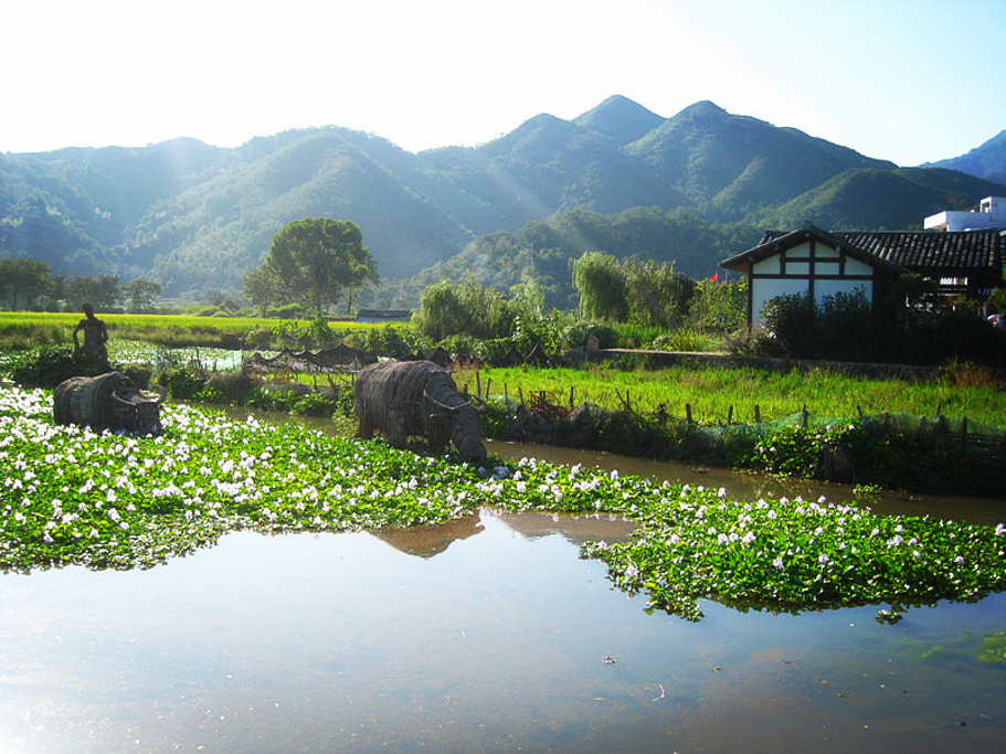 2015苍坡古村_旅游攻略_门票_地址_游记点评