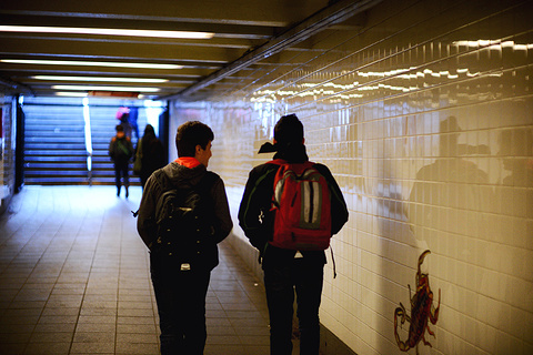 2015美国自然历史博物馆_旅游攻略_门票_地址