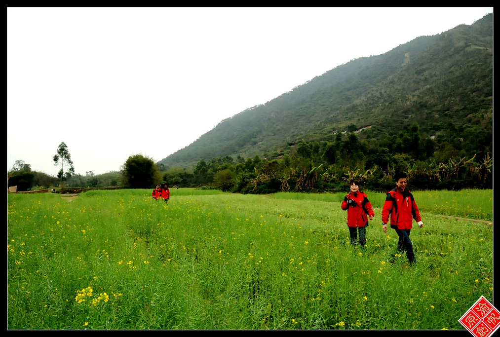 2015生态环境十分优美