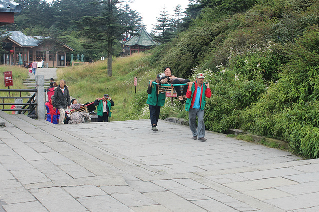 陪父母游乐山大佛峨眉山