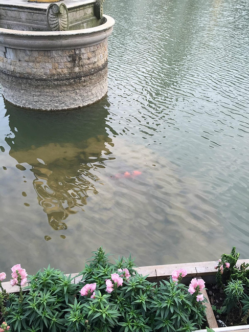 四不像的东部华侨城2日游_深圳旅游攻略