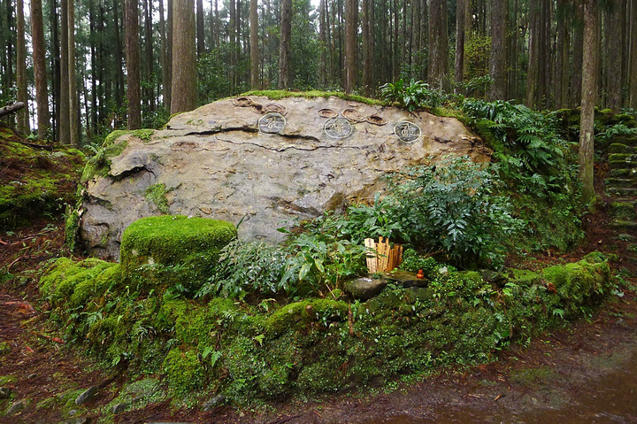 2019高松游玩行程,高松攻略/住宿/美食/交通/购宗魂剑遗迹攻略图片