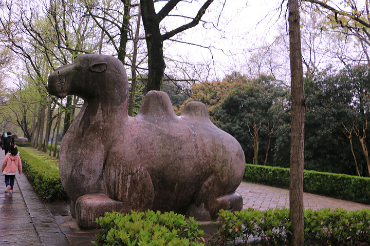 2016明孝陵有些失望,门票坑,但是没有什么好看