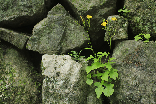 疯子疯行-江苏、浙江、上海_杭州旅游攻略_自