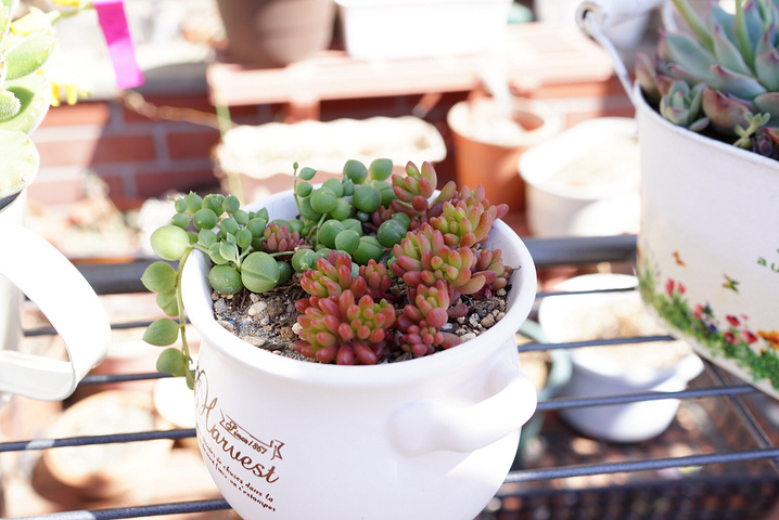 2015日本酒店大部分是十点退房,我们先退了房