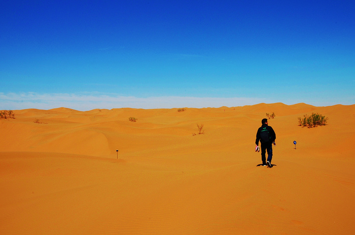 2015一般游玩顺序是先北区后南区_沙坡头评论