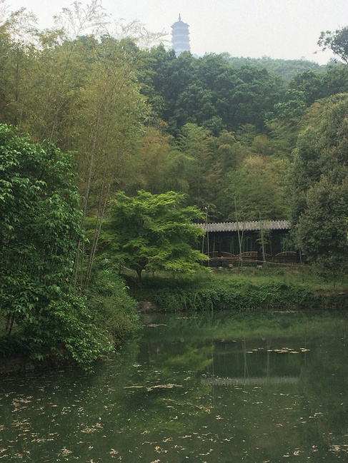 五一和爱的人走在襄阳_襄阳冒险攻略_自助游攻略逃亡旅游之路图片
