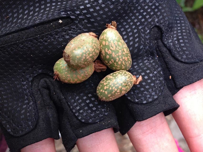 小小七侠行武功_萍乡旅游攻略