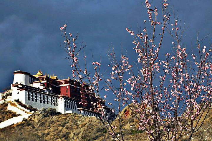 2015我们先来到拍摄布达拉宫最好位置的药王