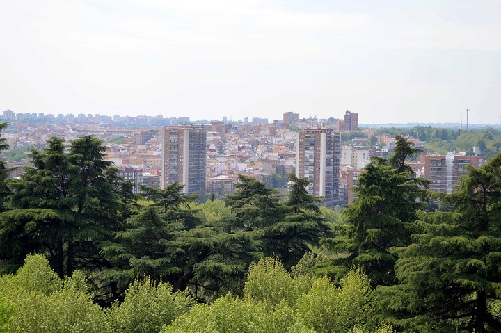 2015Palacio Real de Madr._马德里王宫评论 -