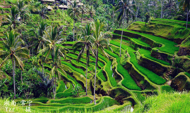 2016德格拉朗梯田,我谓之为“放大的盆景”,确_德格拉朗梯田评论 - 去哪儿攻略社区