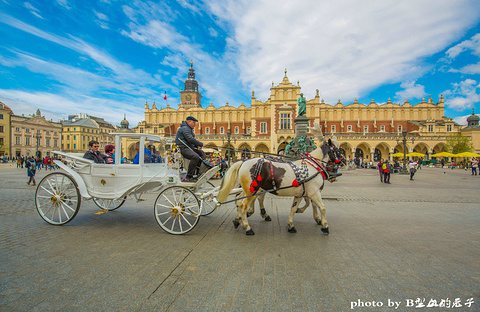 2015【克拉科夫旅游攻略】克拉科夫自助游_周