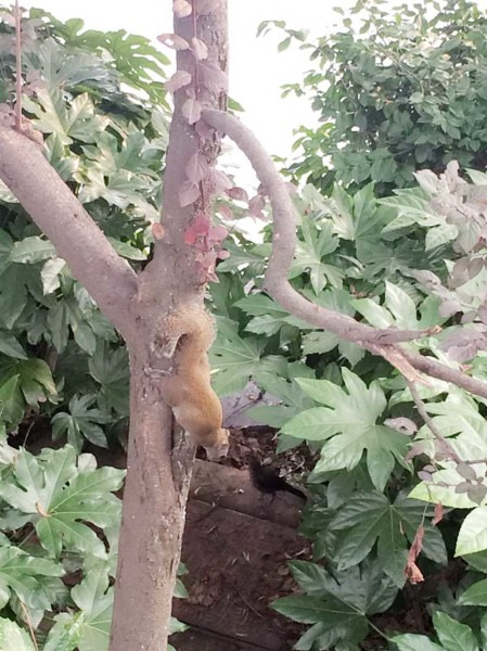 亲子游--上海~杭州3天2夜自驾自由行_杭州旅游