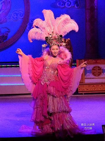 2016便百病缠身, 人妖的寿命很短_金东尼人妖