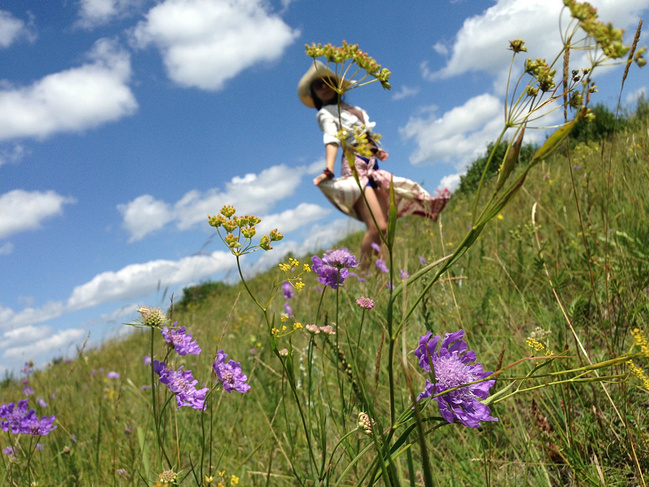 射击公路草原骑马--女汉子的平凡之路_张家口