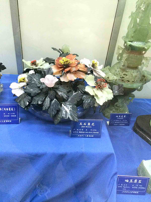 2015成都理工大学恐龙数字博物馆_旅游攻略_