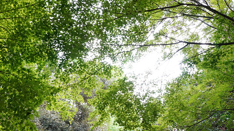 015【奈良旅游景点大全】奈良有什么好玩的地