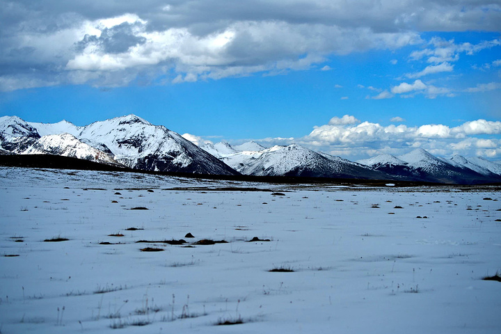 2015是世界上海拔最高的县城_海子山评论 - 去