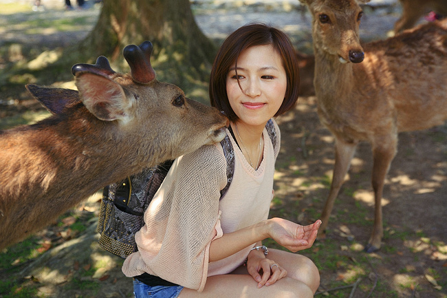 常规路线也有新奇美景--日本自由行_京都旅游
