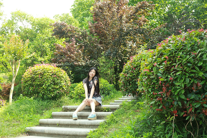 看着这些照片想起那个在玄武湖公园游玩的周末,满满的惬意油然而生