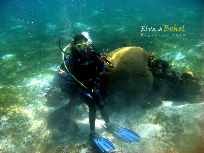 古镇奇谭危险旅行上 下_笛奏龙吟水 箫鸣凤下空_水下之旅