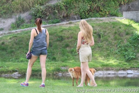 北欧四国之旅-芬兰瑞典挪威丹麦