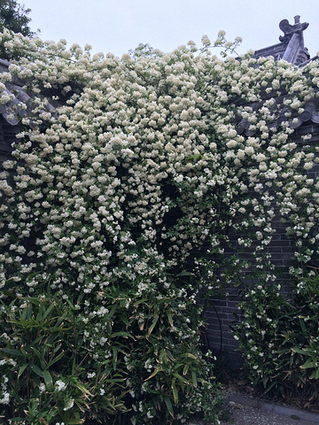 2016最好问清发车时间_台儿庄古城评论 - 去哪