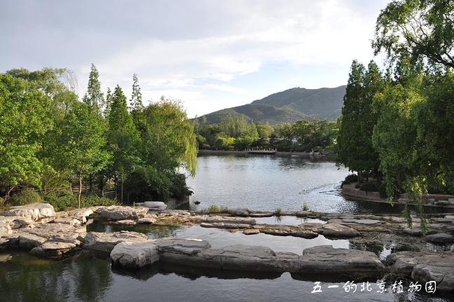 春光无限好--北京植物园游记