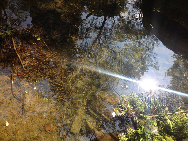 补上毕业旅行,张家界四日游-游记攻略-旅游路上