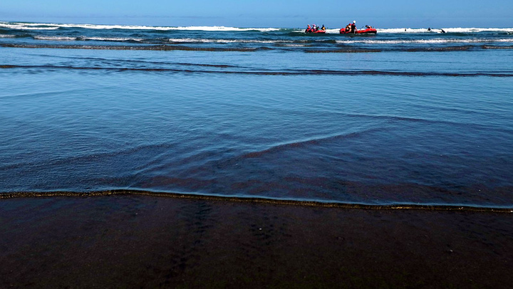 2016穆里怀是新西兰鲣鸟的主要栖息地,华人称