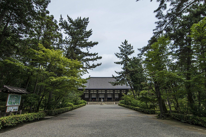 唐招提寺是著名古寺院位于日本奈良市西京五条街是一个和中国渊源很深