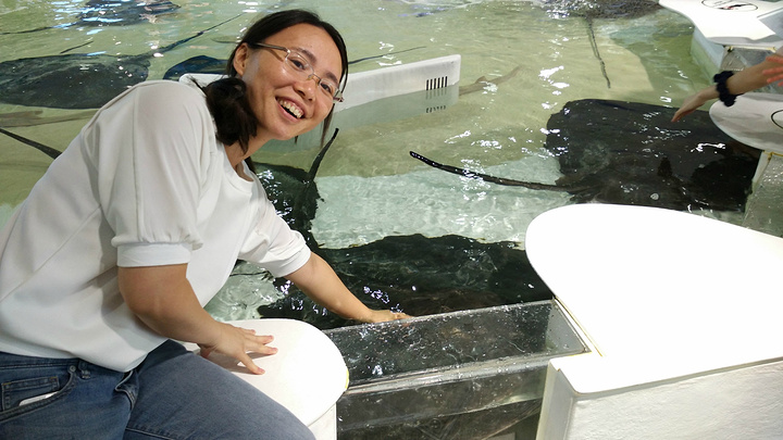 2016可以说这是我去过的最最最好的水族馆了