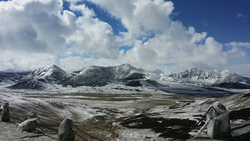 米拉山旅游景点图片