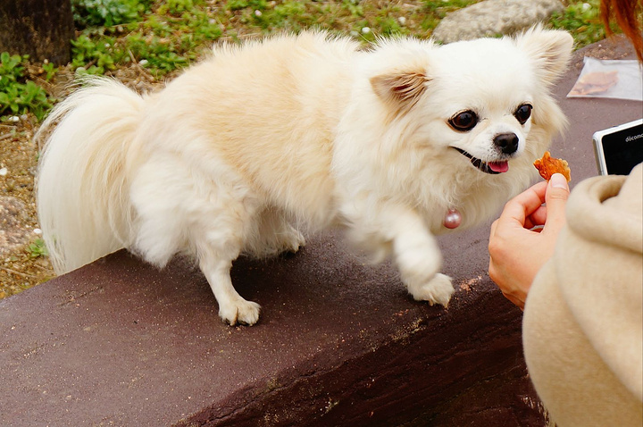 2016丰臣秀吉统一日本后用三年时间建立的,后