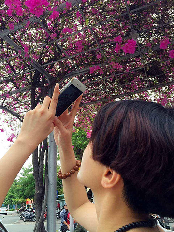 2016常能听见诵经声或唱诗班的歌声回荡在教